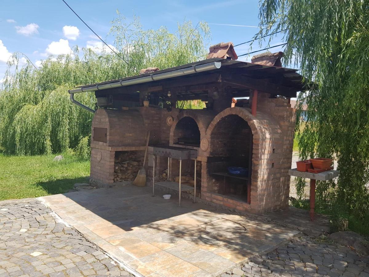 Vila Sura Razoare Sighişoara Exterior foto