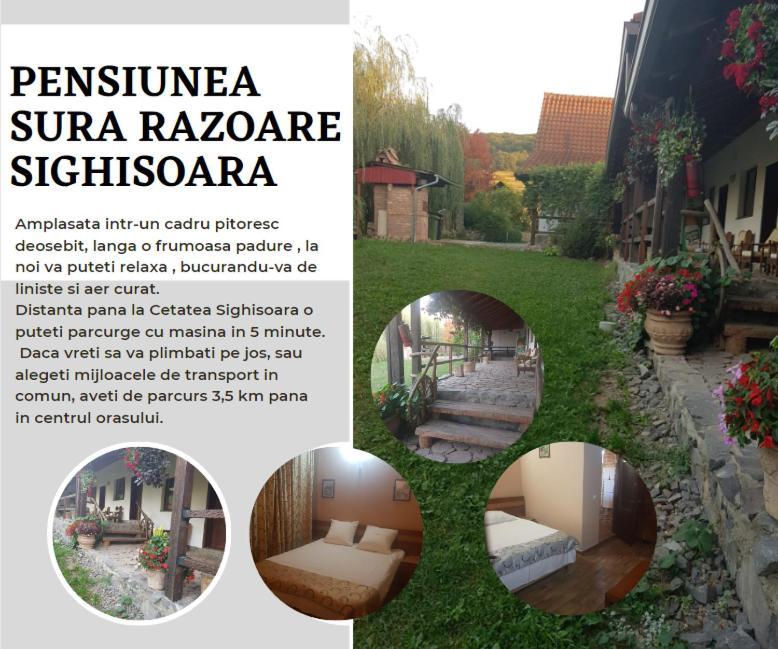 Vila Sura Razoare Sighişoara Exterior foto